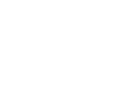 Aviaworks